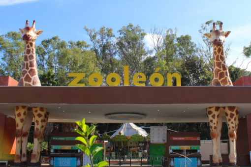 Zoológico de León 2
